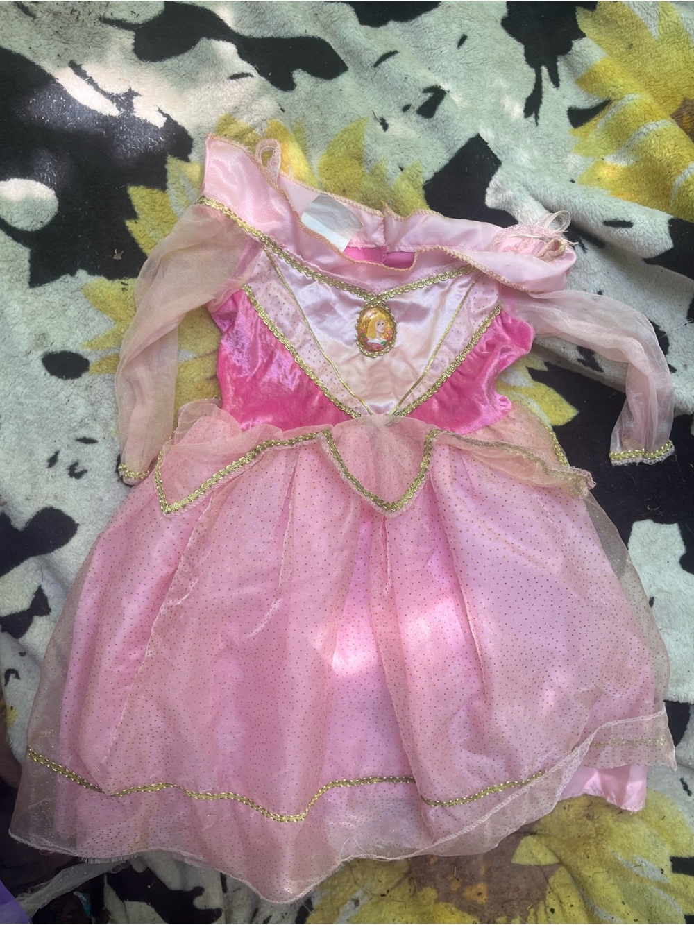 Disney Pink and Gold Princess Costume Dress